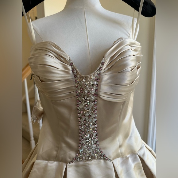 Stephen Yearick Strapless Wedding Gown and Veil - NWT- Champagne Color - Picture 4 of 16